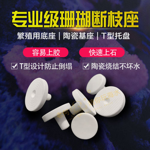 T型SPS珊瑚断枝座断肢座纽扣基座