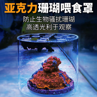 VASTOCEAN亚克力珊瑚喂食保护罩 繁殖保护罩 喂脑类炮仗飞盘 防鱼