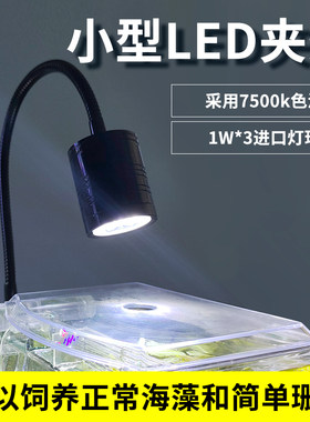 海水3W夹灯小型鱼缸LED