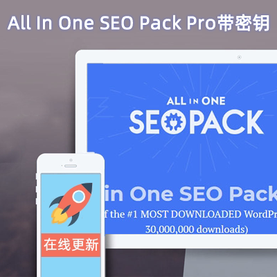 All in One SEO Pro 英文原版 全扩展WP SEO排名优化插件