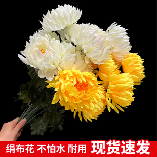 仿真菊花大朵菊花花头龙爪菊花束仿真花绢花假花墓地摆放高花插花