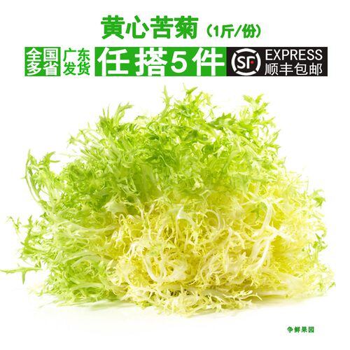 苦菊英文价格 苦菊英文图片 星期三