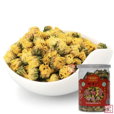 罐装胎菊麻城福白菊新奇一无糖