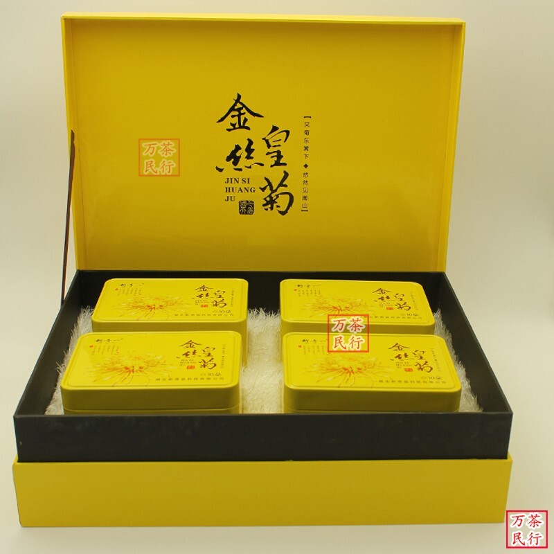 一朵一杯厚肉金丝皇菊麻城福白菊图片