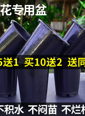 兰花盆创意盆栽盆兰花君子兰专用盆透气透水简约塑料黑色盆买5送1