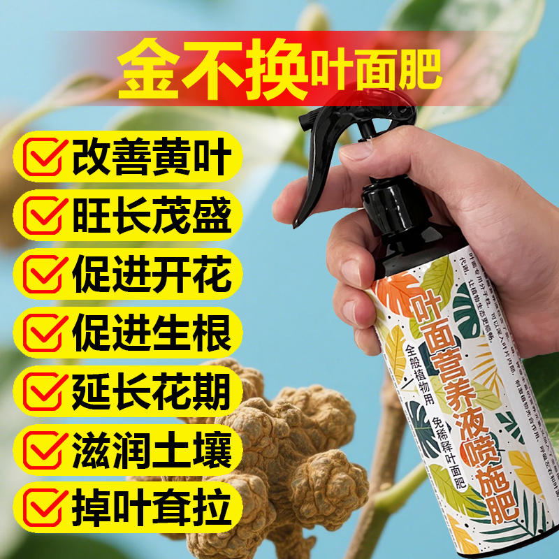 金不换专用肥料种植盆栽九层塔罗勒叶土壤营养液叶面肥水溶化肥料