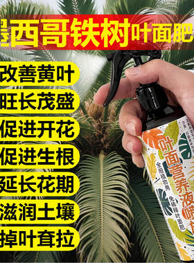 墨西哥铁树专用肥料土营养液叶子发黄干枯萎蔫黑斑软秃掉叶面肥料
