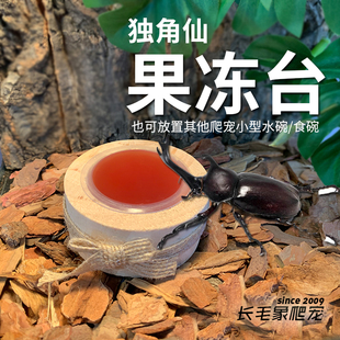 独角仙果冻台长戟昆虫锹甲虫圆形攀爬食台睫角守宫果泥盆存放台