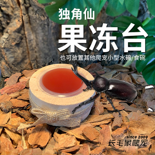 独角仙果冻台长戟昆虫锹甲虫圆形攀爬食台睫角守宫果泥盆存放台