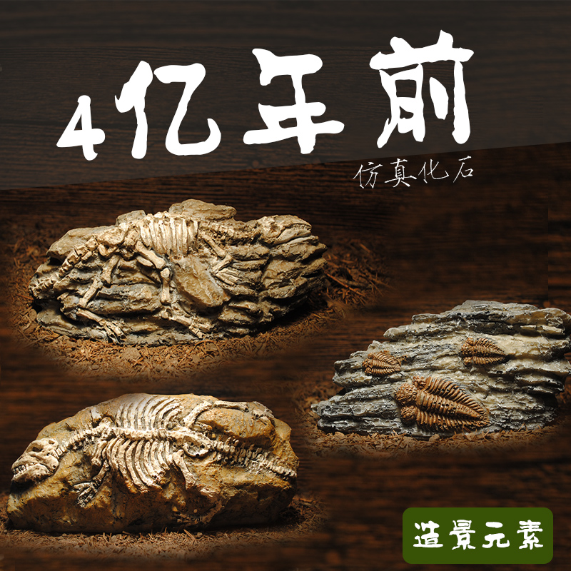 爬虫饲养盒仿真恐龙化石金字塔爬宠饲养箱雨林沙漠造景元素摆件
