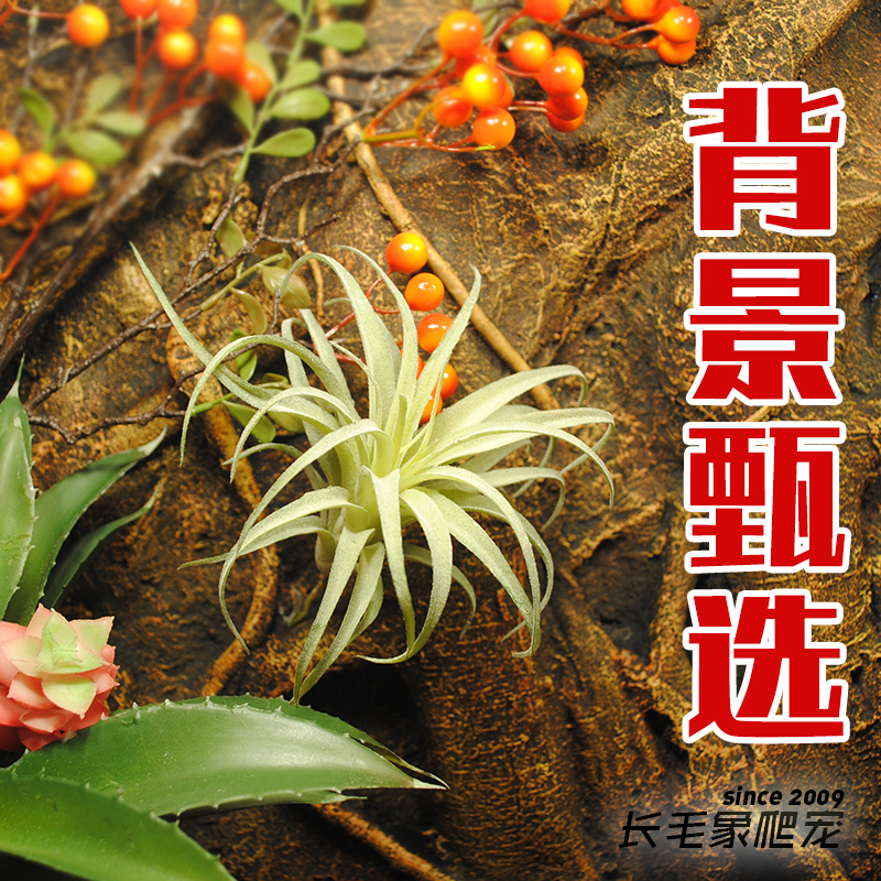 爬虫饲养箱造景带插棍空气草仿真沙漠绿植假植造景装饰背景板装饰