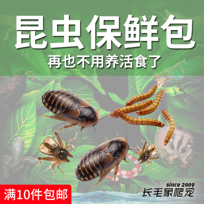 保鲜昆虫包昆虫罐头保存新鲜营养