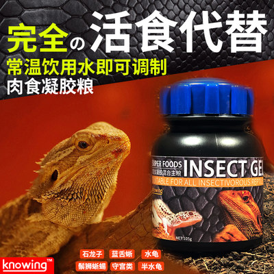 诺茵蜥蜴粮石龙子肉食凝胶爬虫