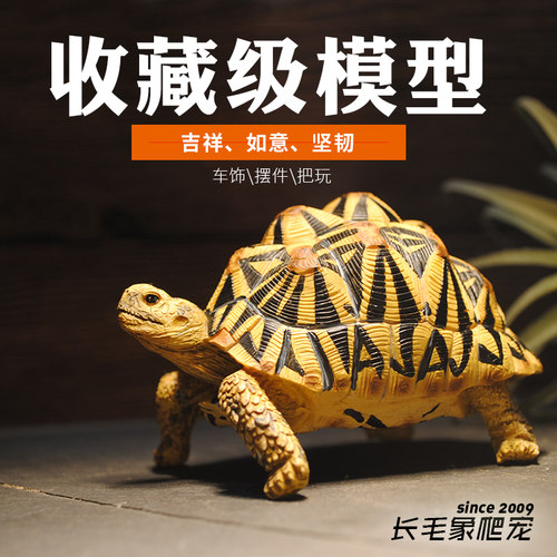 陆龟模型价格 陆龟模型图片 星期三