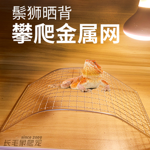 鬃狮蜥蜴晒背攀爬晒台金属网伞蜥鬃狮幼体成体可用晒网攀爬休息台