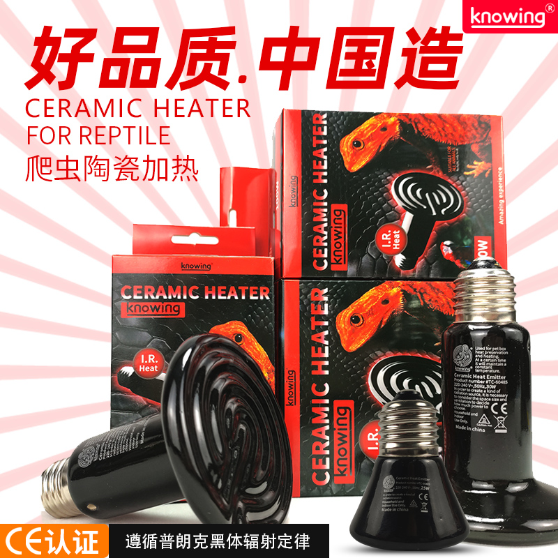 出口级宠物保温灯鸟类鹦鹉取暖