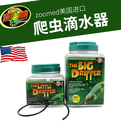 zoomed美国爬虫滴水器饮水器树栖爬虫睫角守宫蜥蜴变色龙祖迈特
