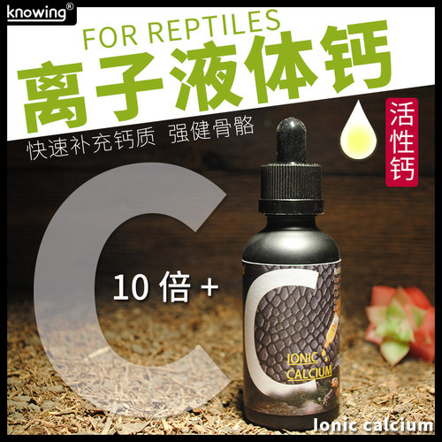 K诺茵爬虫守宫黄缘补钙