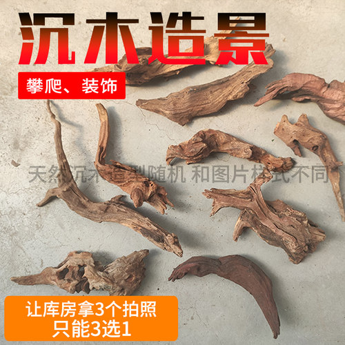 天然造景爬虫攀爬木睫角守宫鬃狮蜥蜴蛇蟒树枝寄居蟹水族鱼缸沉木