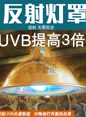 爬虫饲养箱UVB反射灯罩陶瓷灯聚热罩子木箱OSB实木爬箱内反光灯罩