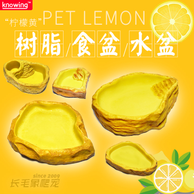爬宠树脂食盆水盆宠物蛇角蛙
