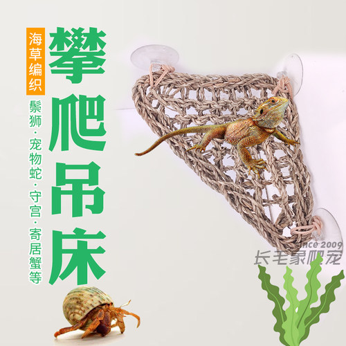 天然海草编织鬃狮蜥蜴吊床睫角守宫寄居蟹攀爬鹦鹉攀爬玩具绳造景