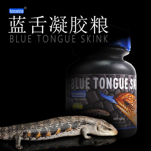 knowing蓝舌蜥蜴杂食性适用饲料