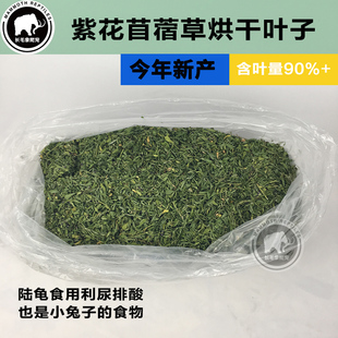 2新产紫花苜蓿草全叶子烘干天然牧草陆龟兔子龙猫粮