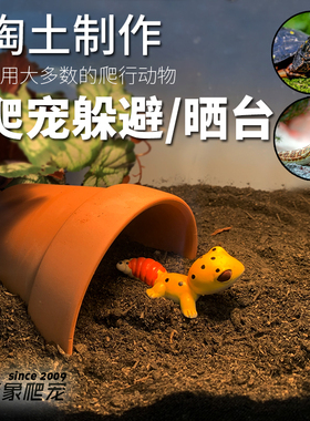 陆龟乌龟半水龟豹纹守宫睫角蜘蛛鬃狮蜥蜴陶土躲避洞穴晒台瓦片状