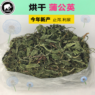 特级兔子荷兰兔饲料牧草陆龟粮食天然烘干蒲公英干草牧草