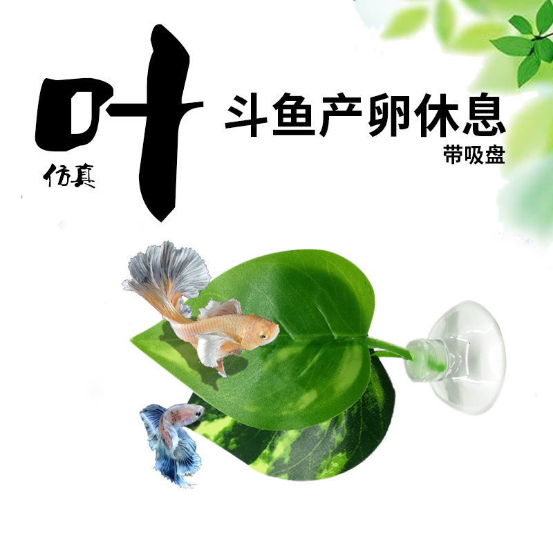 爬宠饲养箱小装饰假植