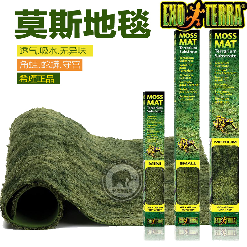 exo希瑾爬虫箱莫斯蜥蜴