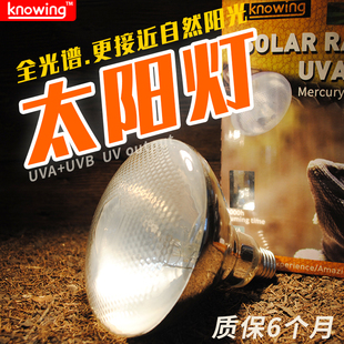 UVB爬虫晒背陆龟鬃狮蜥蜴UVB灯 Knowing诺茵爬宠全光谱太阳灯UVA