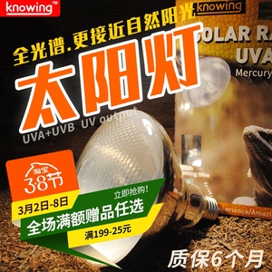 Knowing诺茵爬宠全光谱太阳灯UVA+UVB爬虫晒背陆龟鬃狮蜥蜴补钙灯