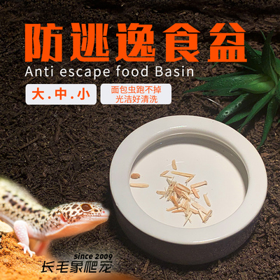 豹纹守宫鬃狮蜥蜴面包虫防逃食盆