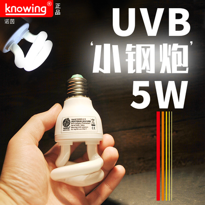 正品Knowing诺茵爬虫迷你节能灯5W多肉补光陆龟鬃狮蜥蜴UVB灯
