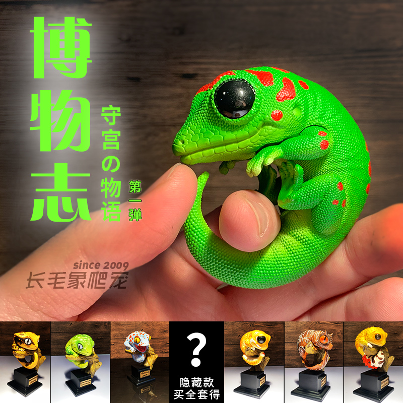 博物志守宫模型盲盒手办摆件