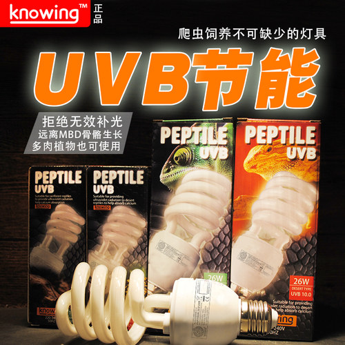 knowing诺茵正品爬宠UVB紫外线节能灯爬虫晒背灯5.0/10.0多肉促D3