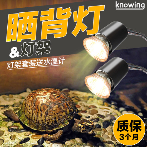 K诺茵芦丁鸡科尔鸭乌龟晒背小太阳聚热全光谱灯架灯夹加温保温灯 - 封面
