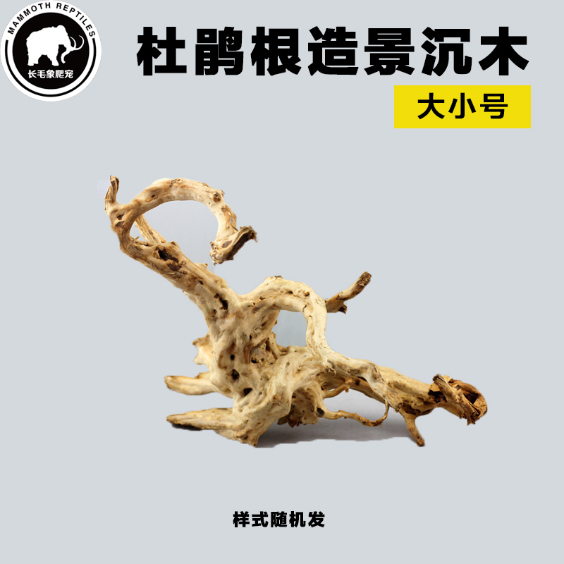 爬箱造景杜鹃根龟缸鱼缸沉木寄居蟹睫角守宫蜥蜴攀爬树根天然造景