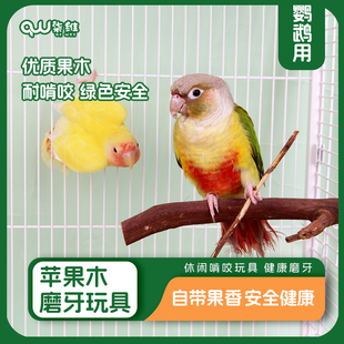 新鲜烘干苹果枝鹦鹉啃咬玩具玄风牡丹和尚小太阳虎皮磨牙棒鸟用品