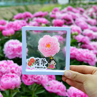 荷泽牡丹花3D立体磁吸冰箱贴中国牡丹之都文创纪念品手工创意礼物