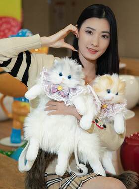 仿真布偶猫娃娃背包双肩包