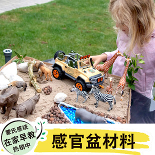 感官盆蒙氏早教益智玩具蒙特梭利自制游戏宝宝感官训练透明盆教具