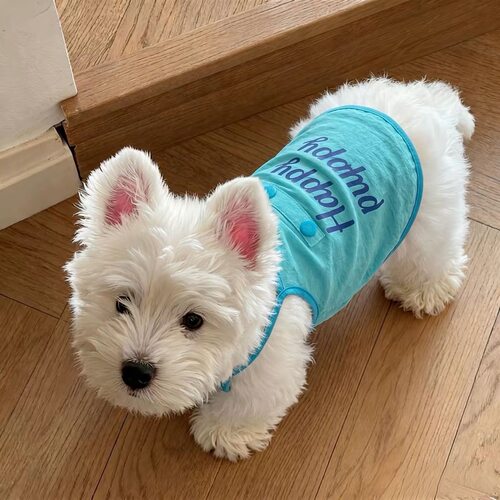 狗狗宠物衣服春秋夏季吊带茶杯犬比熊泰迪狗小狗猫咪公主背心可爱