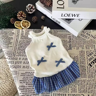 宠物衣服猫咪狗狗公主风宠物狗狗夏季公主比熊约克夏卡通裙子