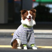 大狗冬季 衣服北极绒加厚保暖两脚衣大型犬金毛拉布拉多加绒秋冬装