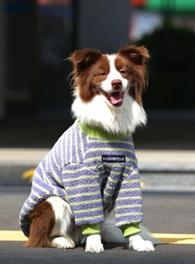 大狗冬季衣服北极绒加厚保暖两脚衣大型犬金毛拉布拉多加绒秋冬装