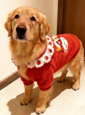 大狗狗新年衣服金马拉布拉多冬季防冻喜庆花边领刺绣大型犬羊羔绒