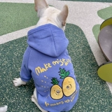 FA DOU DOG DOG DOG CLOWEND Осень и зимний детектив домашние животные маленькие и маленькие баллы Kikhi Bargie Targiers